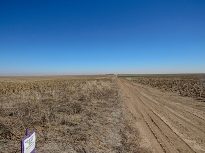 Land Auction 4 Quarters Gray County Kansas Farmland - image 9