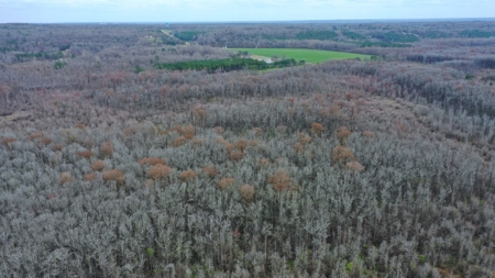 Bear Creek 530 - image 17