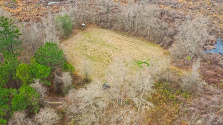 Bear Creek 530 - image 1