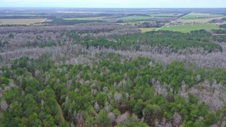 Bear Creek 530 - image 14