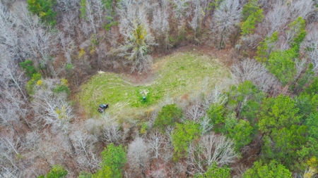 Bear Creek 530 - image 9