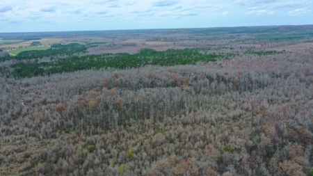 Bear Creek 530 - image 13