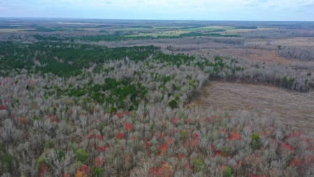 Bear Creek 530 - image 11