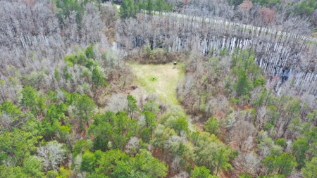 Bear Creek 530 - image 7