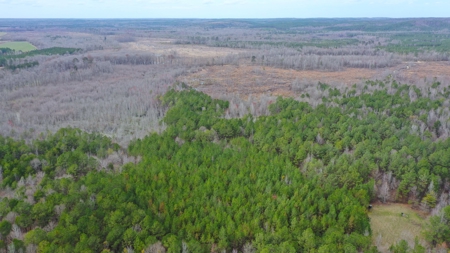Bear Creek 530 - image 15