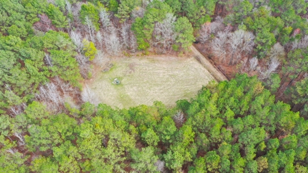 Bear Creek 530 - image 6