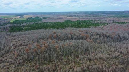 Bear Creek 530 - image 12