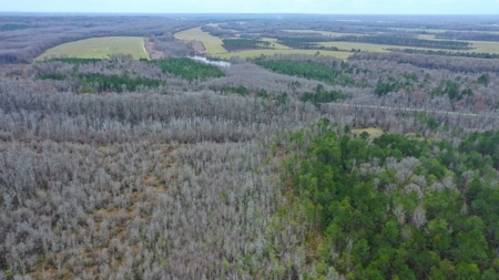 Bear Creek 530 - image 18