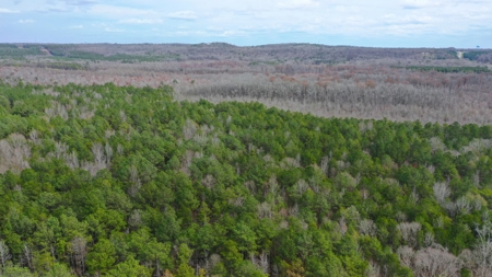 Bear Creek 530 - image 8