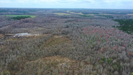 Bear Creek 530 - image 10