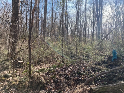 Unrestricted Lot near Barren River Lake - image 4