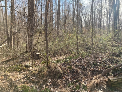 Unrestricted Lot near Barren River Lake - image 1