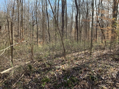 Unrestricted Lot near Barren River Lake - image 2