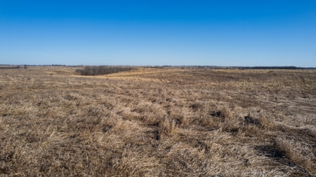 Income Producing Recreational Farm - image 26