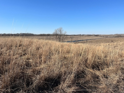 Income Producing Recreational Farm - image 16