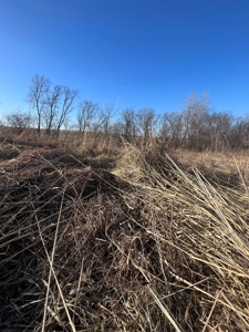 Income Producing Recreational Farm - image 45