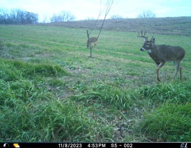 Income Producing Recreational Farm - image 29