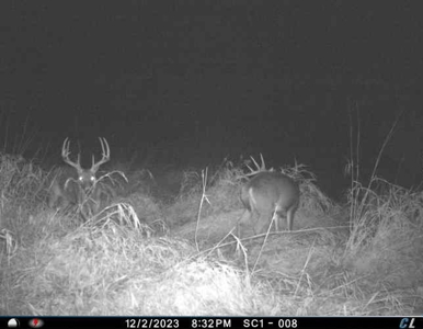 Income Producing Recreational Farm - image 44
