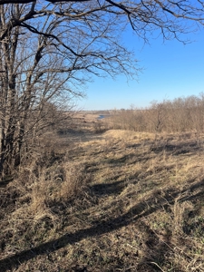 Income Producing Recreational Farm - image 8