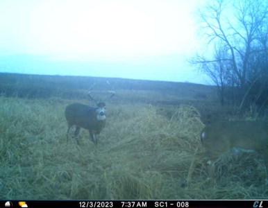 Income Producing Recreational Farm - image 39