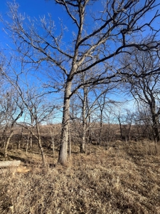 Income Producing Recreational Farm - image 15