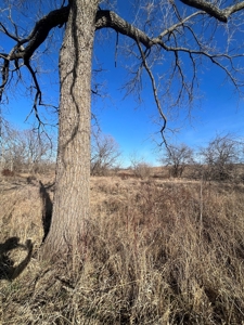 Income Producing Recreational Farm - image 19