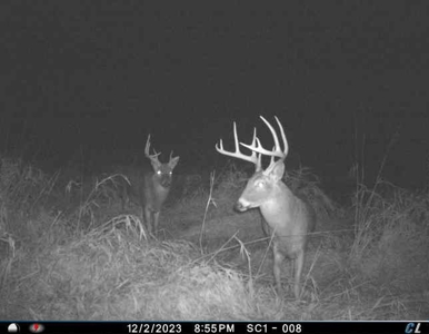 Income Producing Recreational Farm - image 34