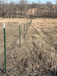 Income Producing Recreational Farm - image 9
