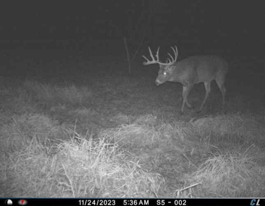 Income Producing Recreational Farm - image 27