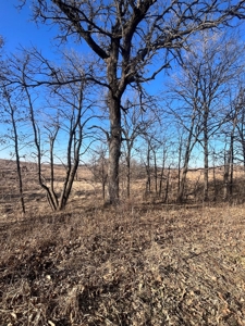 Income Producing Recreational Farm - image 5