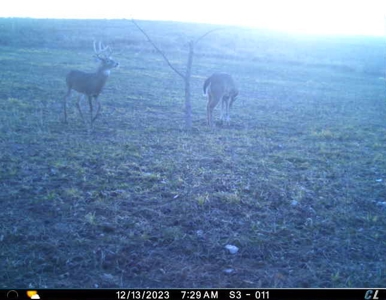 Income Producing Recreational Farm - image 35