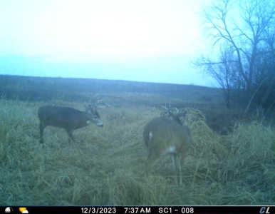 Income Producing Recreational Farm - image 38