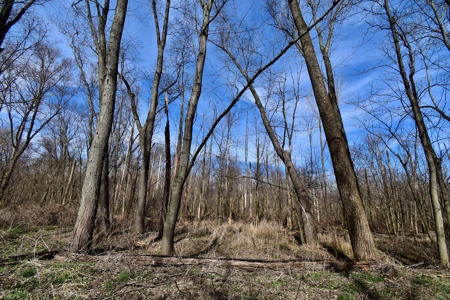 212 +/- Acres For Sale / Dubois County - image 32