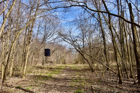 212 +/- Acres For Sale / Dubois County - image 30