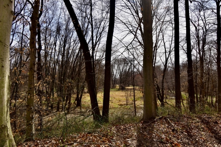 212 +/- Acres For Sale / Dubois County - image 26