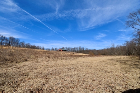 212 +/- Acres For Sale / Dubois County - image 34