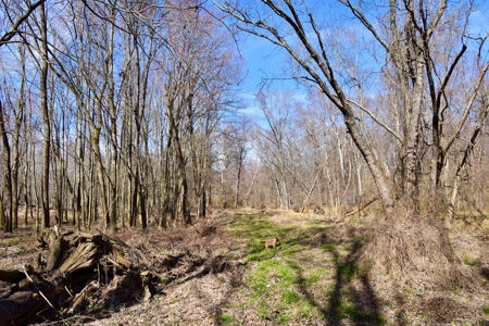 212 +/- Acres For Sale / Dubois County - image 33