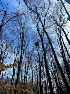 212 +/- Acres For Sale / Dubois County - image 16