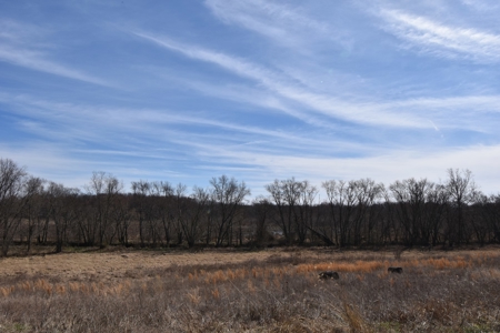 212 +/- Acres For Sale / Dubois County - image 21