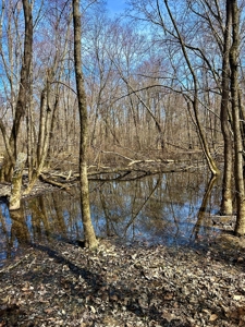 212 +/- Acres For Sale / Dubois County - image 13