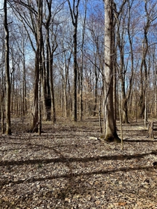212 +/- Acres For Sale / Dubois County - image 10