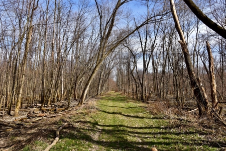 212 +/- Acres For Sale / Dubois County - image 36