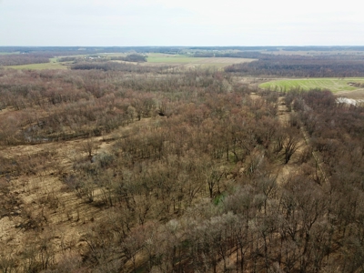 212 +/- Acres For Sale / Dubois County - image 43
