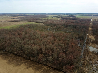 212 +/- Acres For Sale / Dubois County - image 42