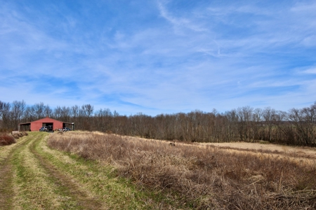 212 +/- Acres For Sale / Dubois County - image 38
