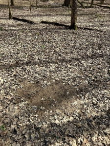 212 +/- Acres For Sale / Dubois County - image 14