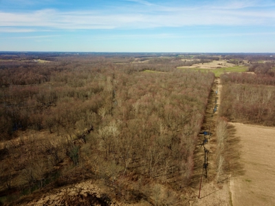 212 +/- Acres For Sale / Dubois County - image 41