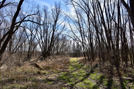 212 +/- Acres For Sale / Dubois County - image 20