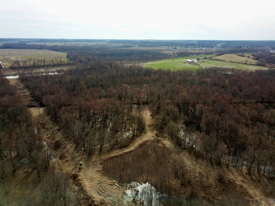 212 +/- Acres For Sale / Dubois County - image 39