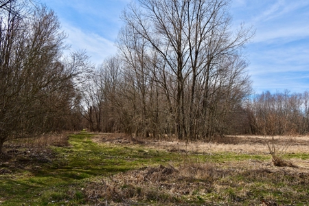 212 +/- Acres For Sale / Dubois County - image 22